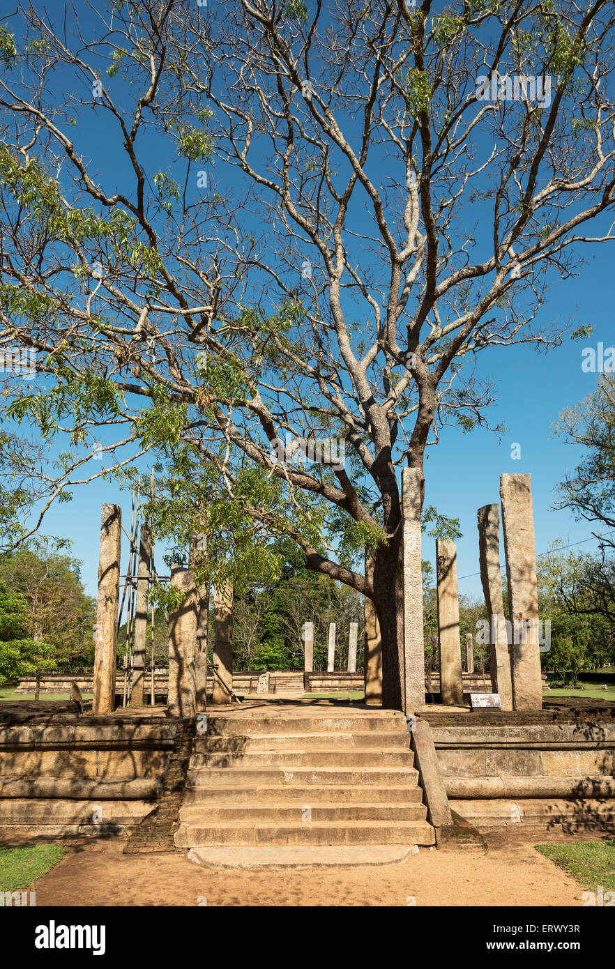 Ratnaprasada (Rathna Prasada), Anuradhapura, Sri Lanka Stockfotografie