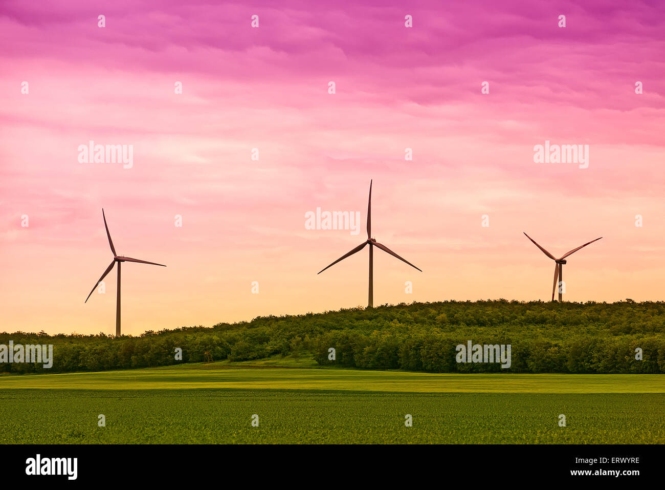 Drei Windkraftanlagen im Feld im Sonnenuntergang Stockfoto