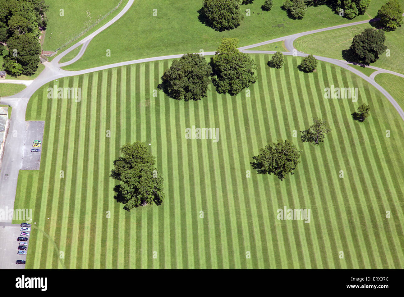 Luftaufnahme von einem gestreiften Rasen, stripey Rasen Muster mit Bäumen, UK Stockfoto