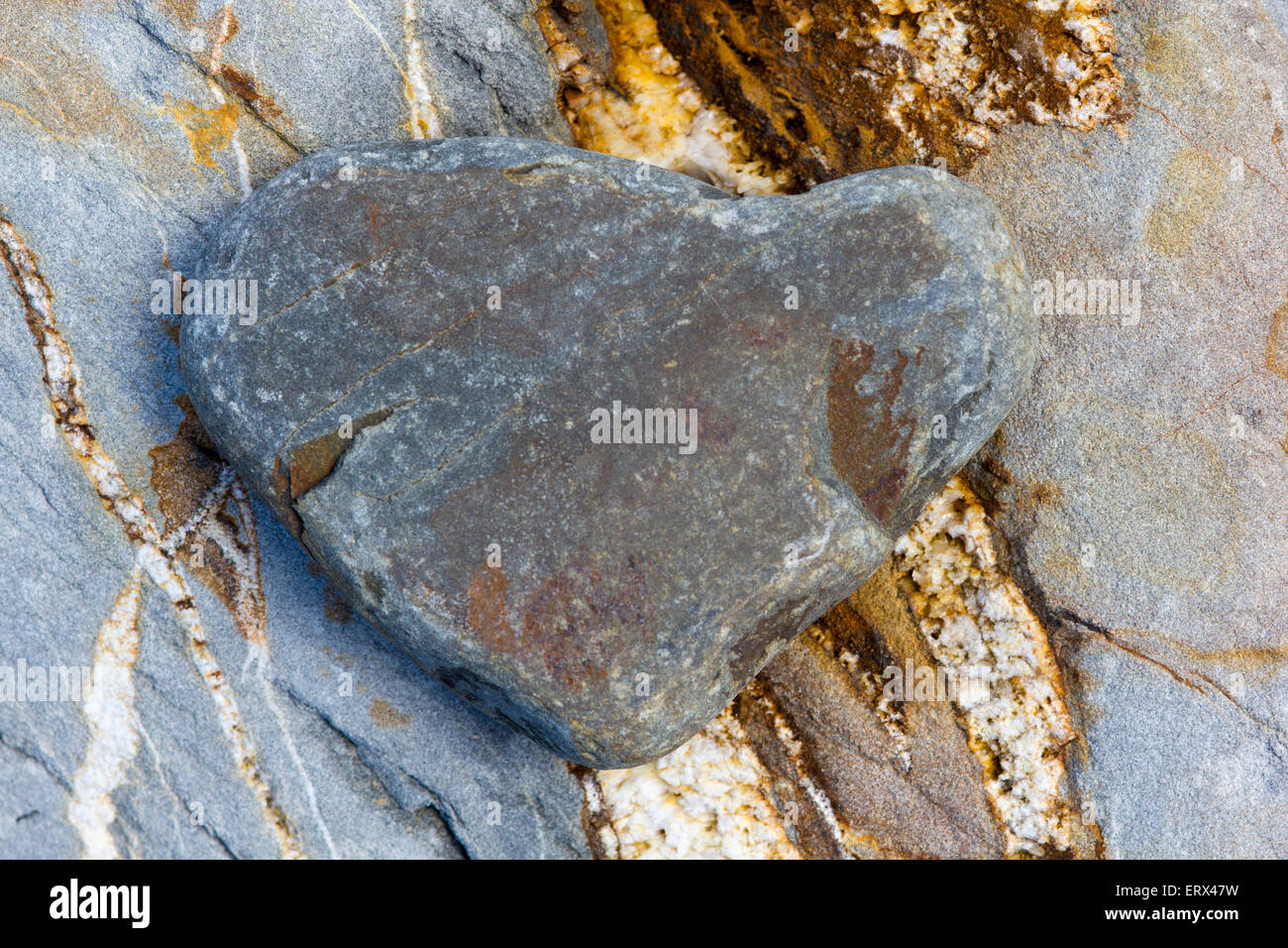 Künstlerische Blick auf ein Herz geformt Pebble auf einem bunten Boulder, Greencliff Strand, Devon. Stockfoto