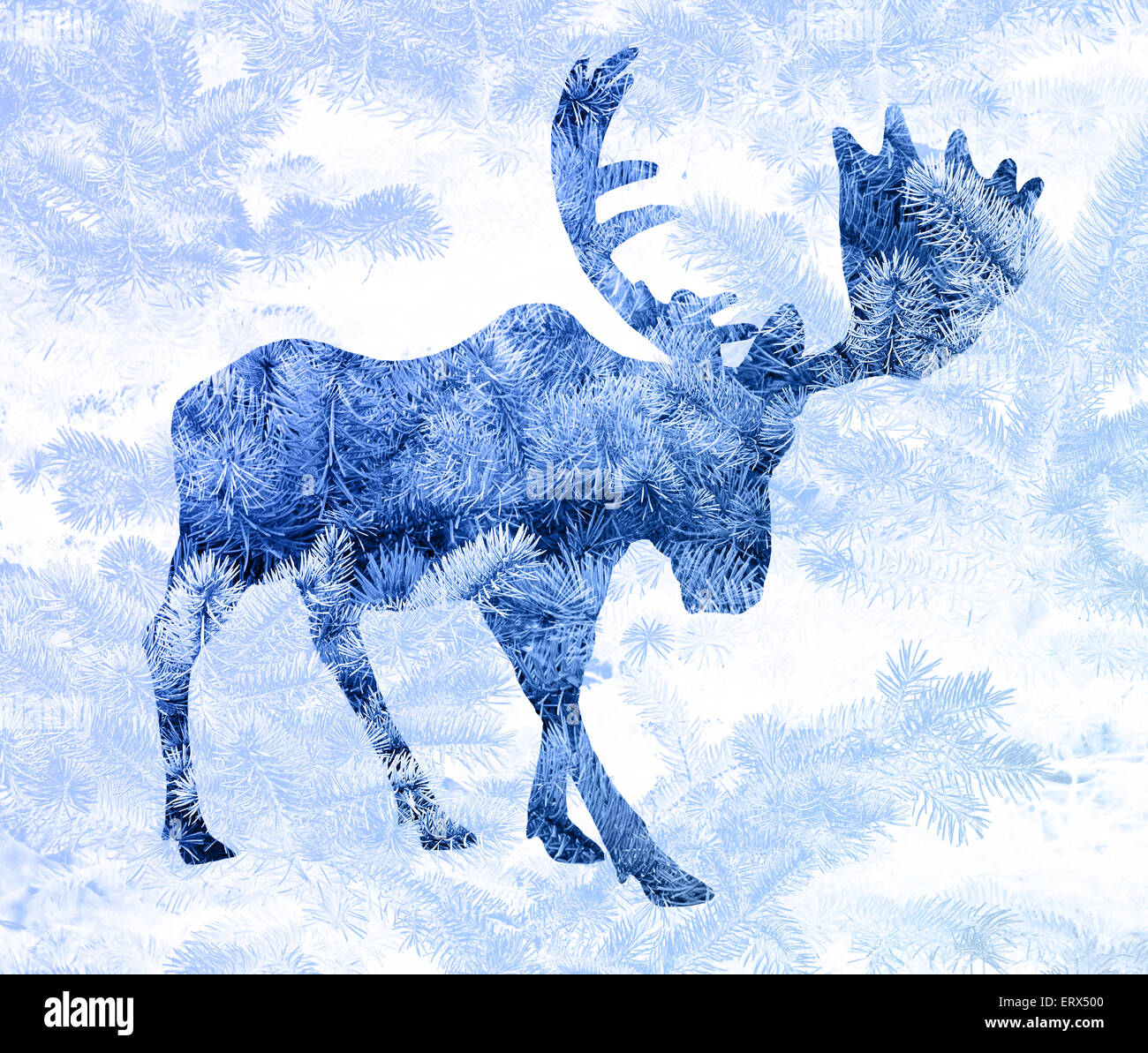 Doppelbelichtung mit der Silhouette von einem Elch und Tannennadeln aus Fichte. Stockfoto