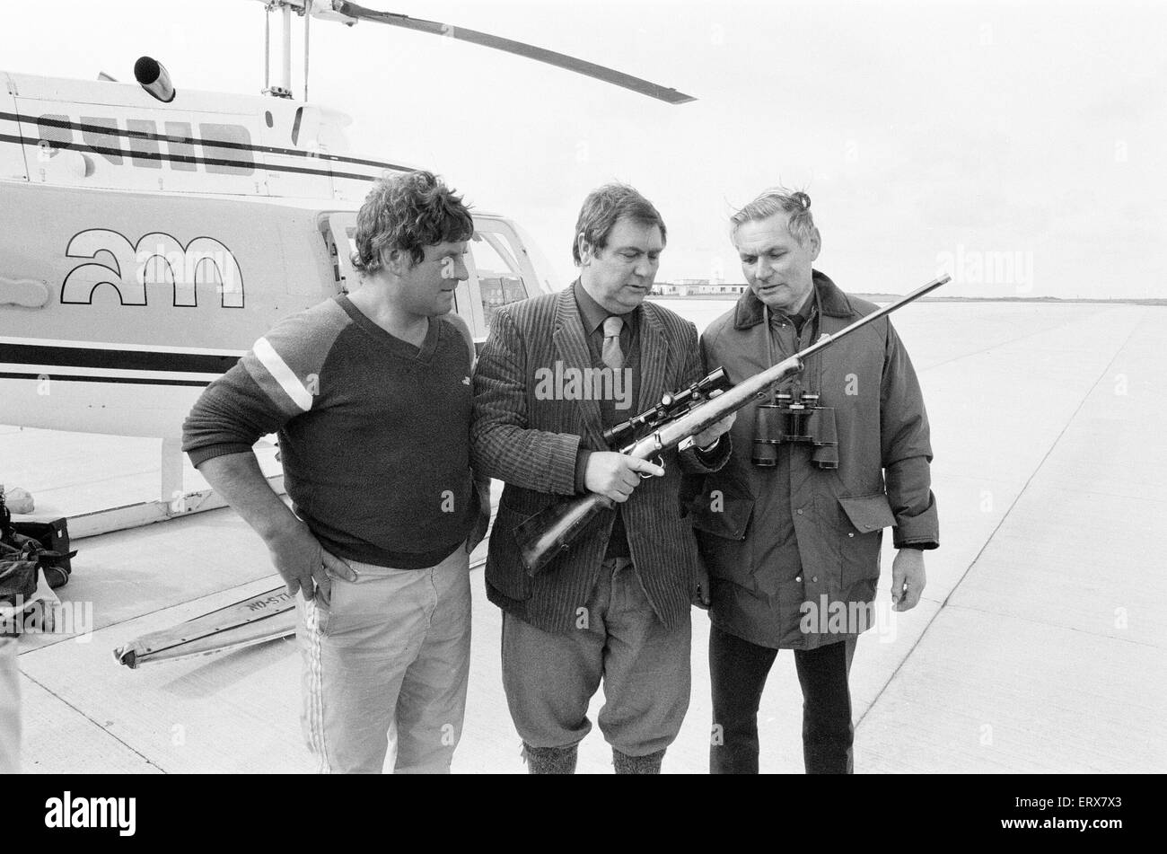 Hercules der Bär, aufgespürt und auf die Abfälle Moorlandschaften von North Uist, in den äußeren Hebriden in Schottland aufgenommen. 14. September 1980. Der Bär wurde mit dem Hubschrauber gejagt. Hercules ist seit 3 Wochen in der Wildnis. Abgebildet, Besitzer Andy Robin (links) mit Jagdgesellschaft. Stockfoto