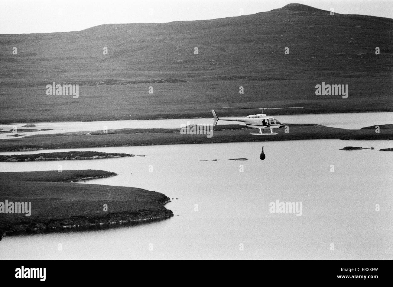 Hercules der Bär, aufgespürt und auf die Abfälle Moorlandschaften von North Uist, in den äußeren Hebriden in Schottland aufgenommen. 14. September 1980. Der Bär wurde mit dem Hubschrauber gejagt. Herkules war seit 3 Wochen in der Wildnis. Im Bild, Herkules nach Hause geflogen. Stockfoto