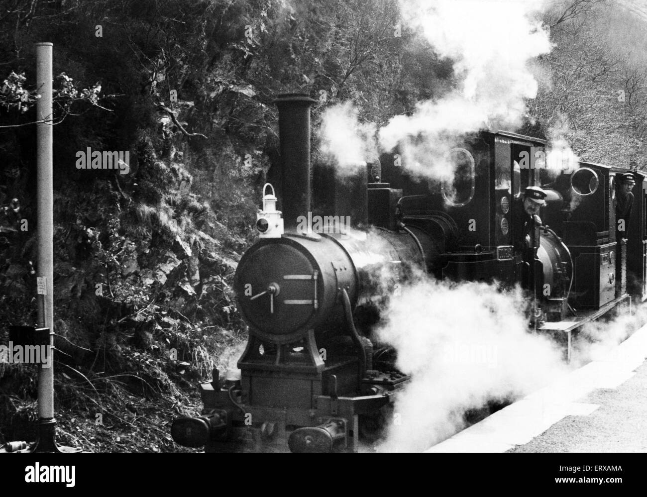 Dampfzug auf der Talyllyn-Eisenbahnlinie, die für 7,25 Meilen von Tywyn auf der Mid-Wales Küste nach Nant Gwernol in der Nähe von Dorf Abergynolwyn verläuft. Der erste Passagier der Saison dampft in Abergynolwyn Bahnhof besetzt von Freiwilligen Bahnpersonal, Gwynedd, Wales gedreht. 17. April 1976. Stockfoto