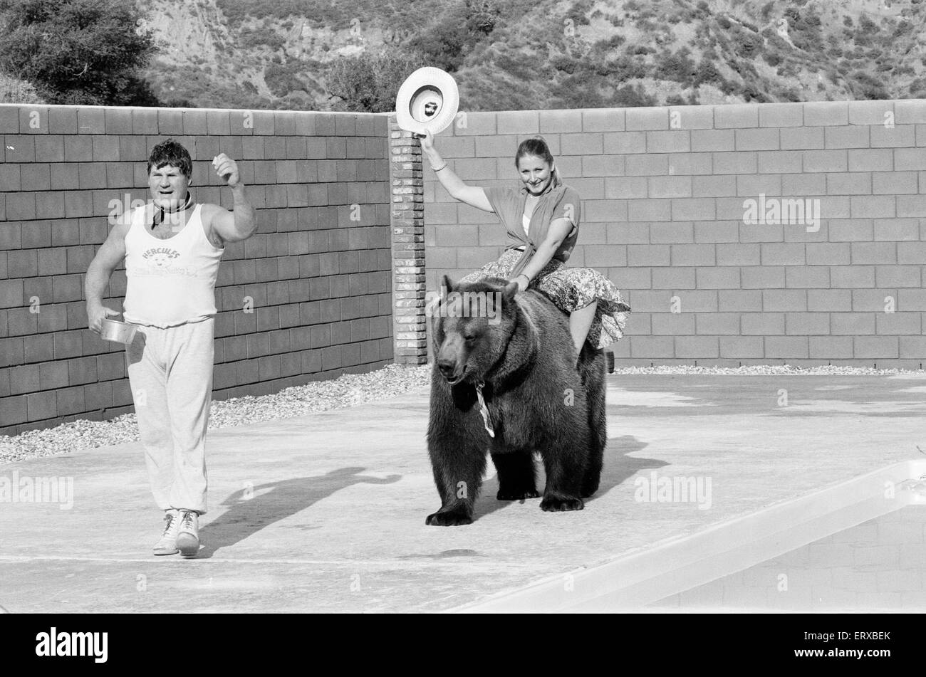 Hercules der Grizzlybär mit Besitzer Andy & Maggie Robin, auf seine neue Heimat in Kalifornien, USA, 10. Februar 1983. Die Verbindung ist in Newhall, 40 Meilen von Los Angeles. Im Bild. Maggie nimmt eine Fahrt auf Hercules. Stockfoto