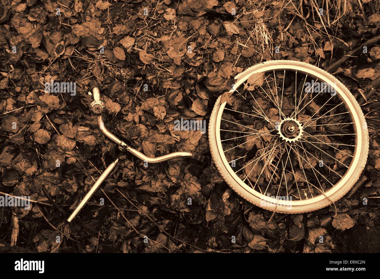 Fahrrad-Rad und Lenker in Autumn leaves Stockfoto