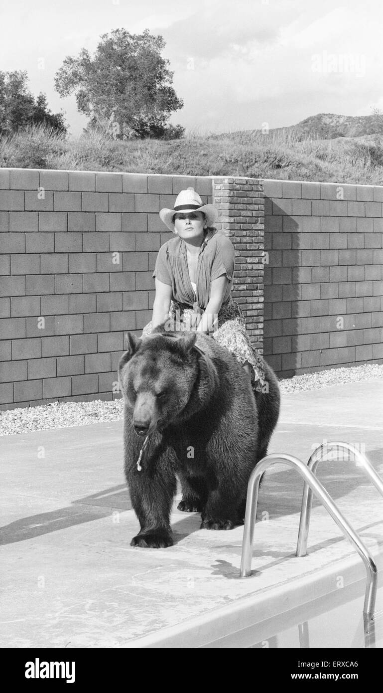 Hercules der Grizzlybär mit Besitzer Andy & Maggie Robin, auf seine neue Heimat in Kalifornien, USA, 10. Februar 1983. Die Verbindung ist in Newhall, 40 Meilen von Los Angeles.  Im Bild. Maggie nimmt eine Fahrt auf Hercules. Stockfoto