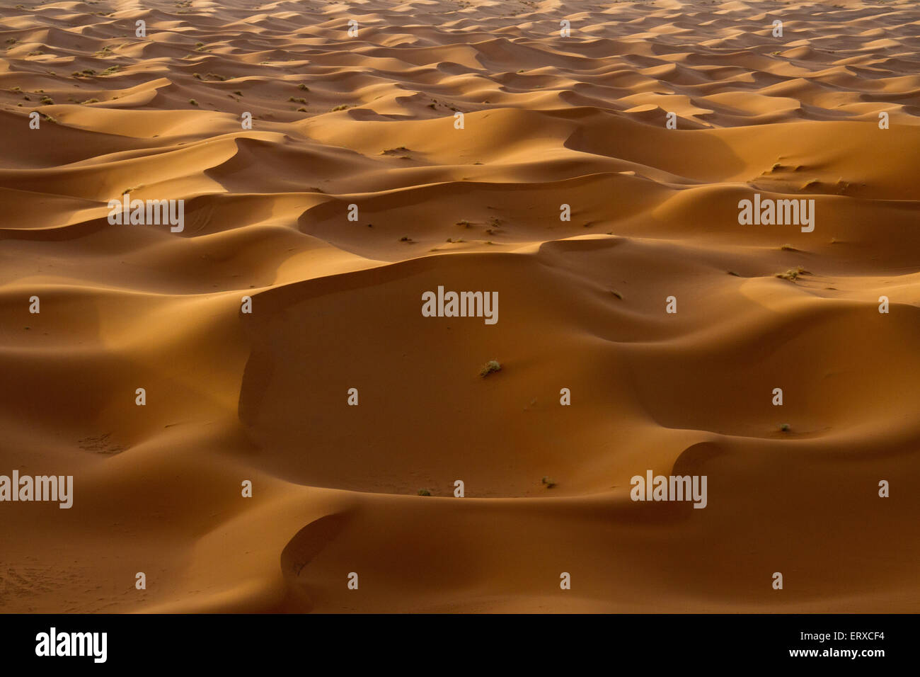 Afrika-Marokko-Merzouga-Wüste. Stockfoto