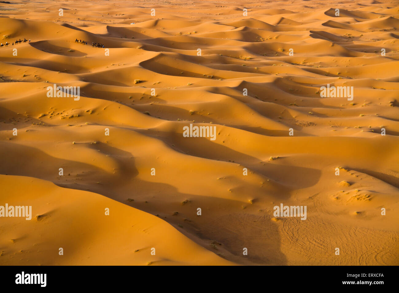 Afrika-Marokko-Merzouga-Wüste. Stockfoto