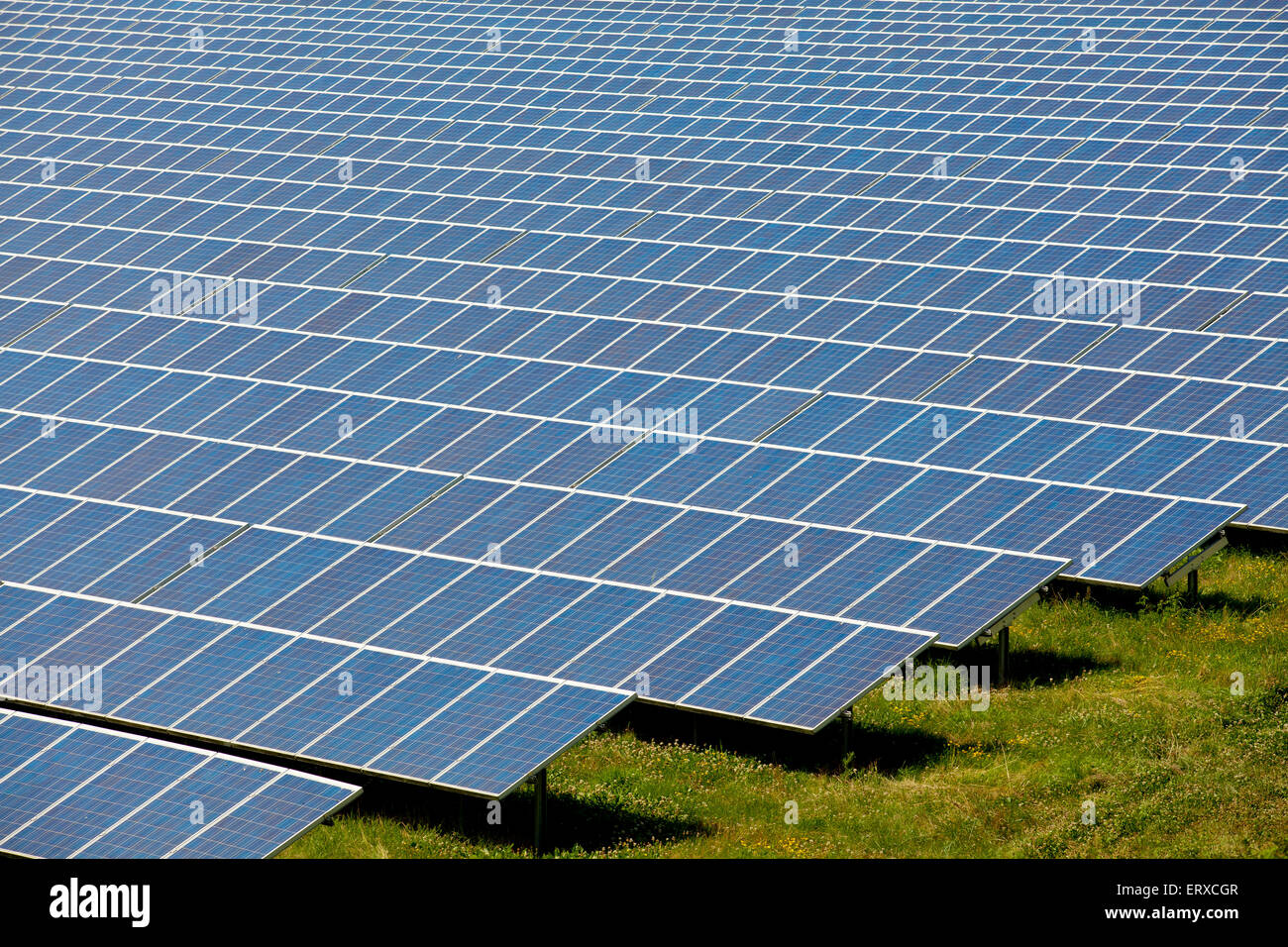 Europa, Deutschland, NRW, Troisdorf, Solarpark Oberlar, mit einer Fläche von 80,000 Quadratmeter, die Pflanze ist ein o Stockfoto