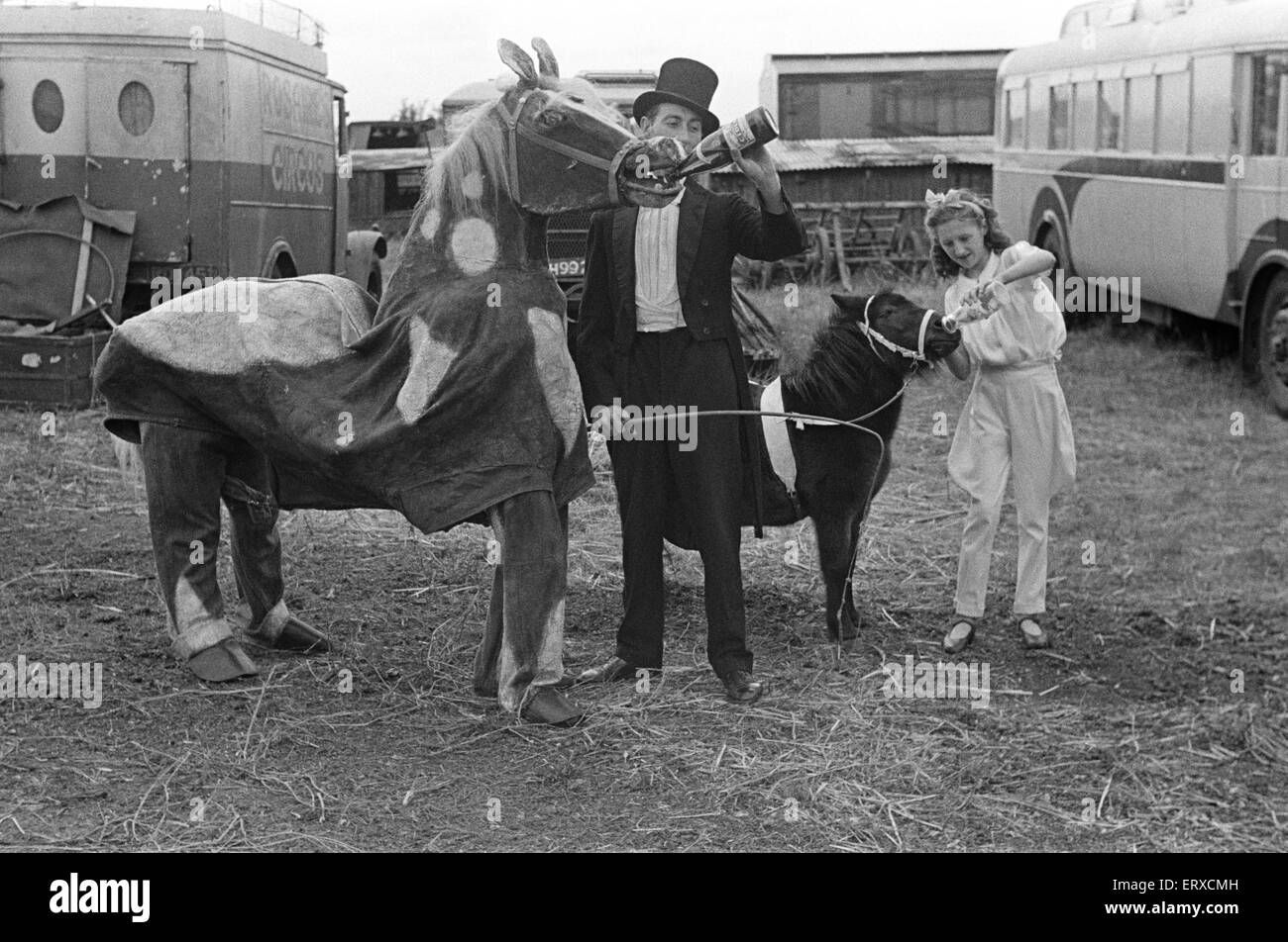 Backstage bei einem Zirkus, November 1947. Stockfoto