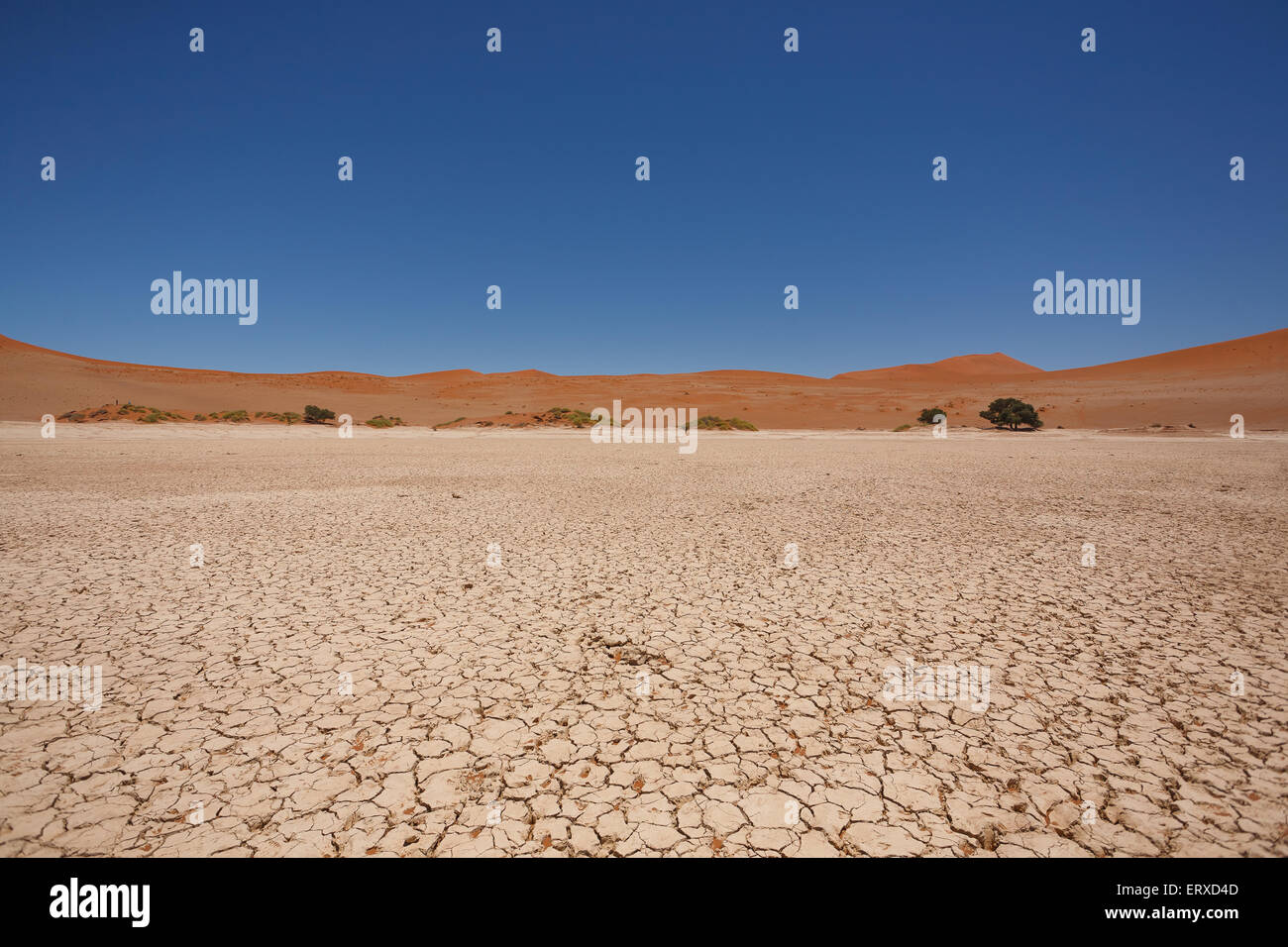 Sossusvlei Salzpfanne mit roten Dünen im Hintergrund, Namibia Stockfoto