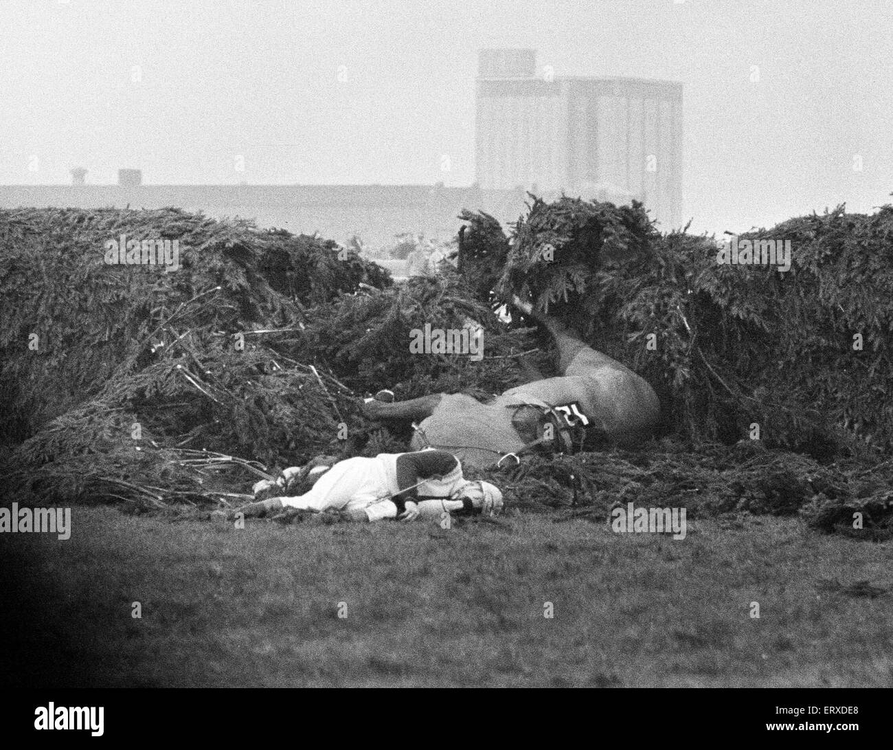 Jockey Paddy Farrell wird von seinem Pferd Grenze Flug am 15. Zaun von der Grand National in Aintree ausgelöst.  Farrell brach den Rücken bei dem Unfall und war an den Rollstuhl gefesselt. 21. März 1964. Stockfoto
