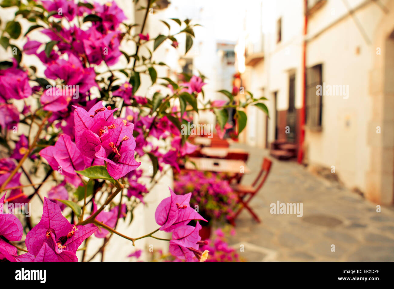 Blick auf eine charmante Straße von Cadaques, Costa Brava, Spanien, mit den typischen weissen Häusern und violetten Bougainvillea Blumen Stockfoto