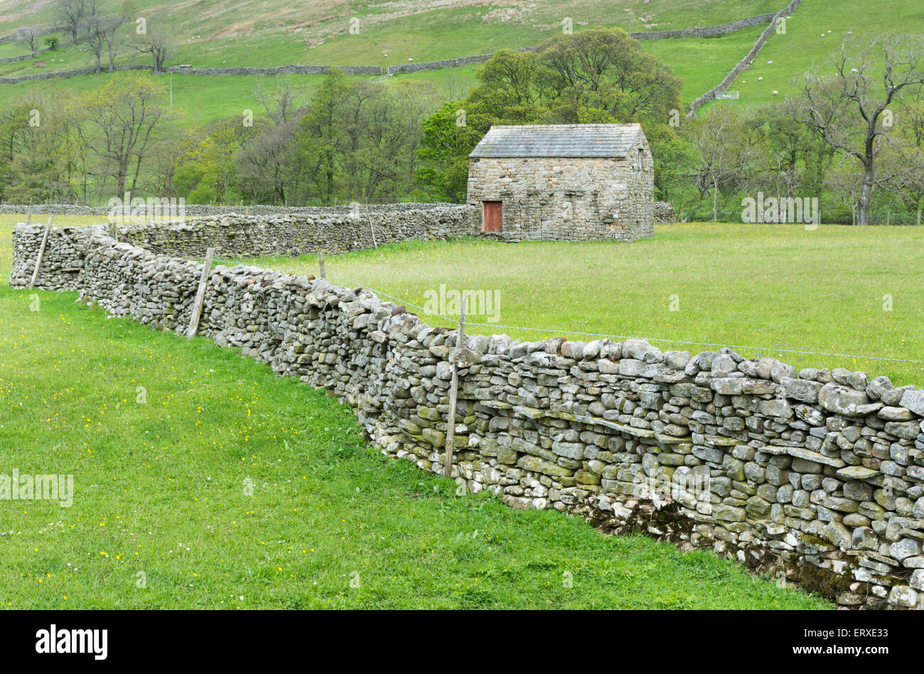 Trockenmauer und Scheune in Yorkshire Dales Stockfoto
