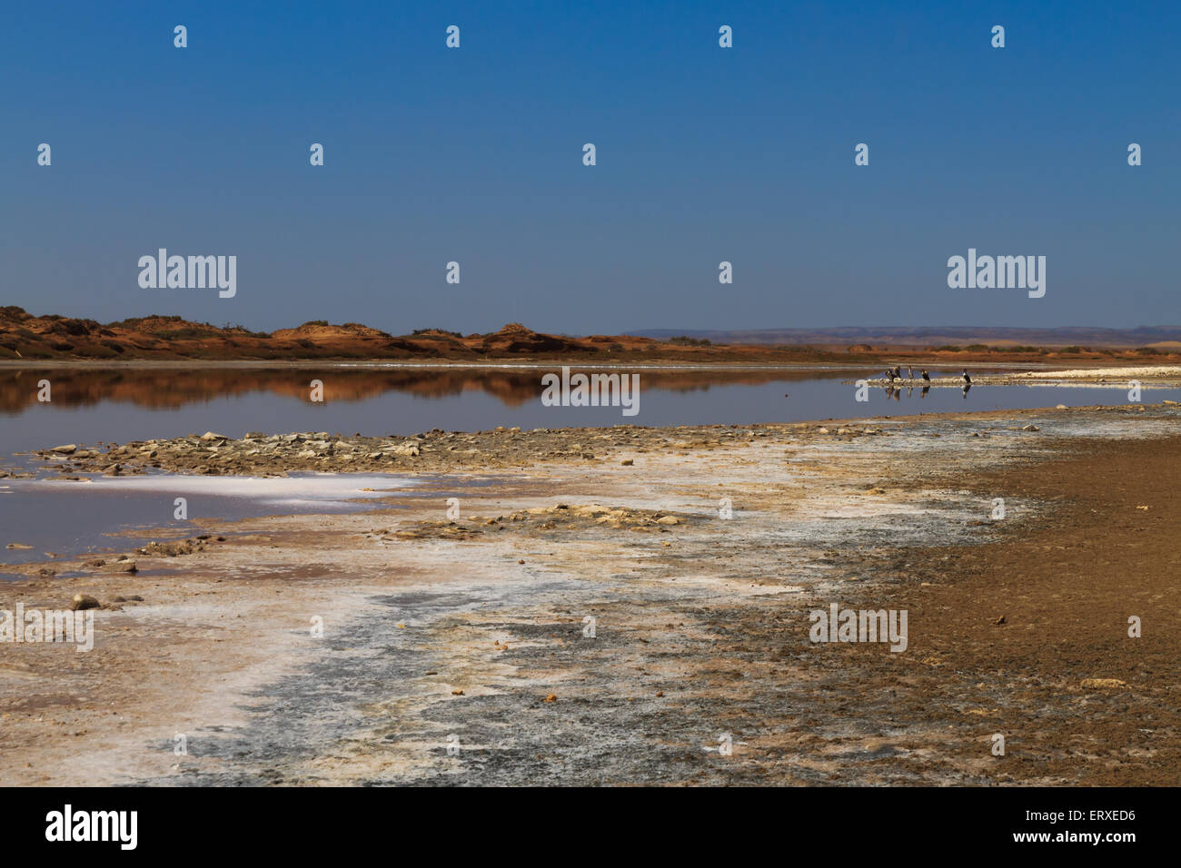 Reflexionen von Ugab River Mündung, Skeleton Coast, Namibia Stockfoto