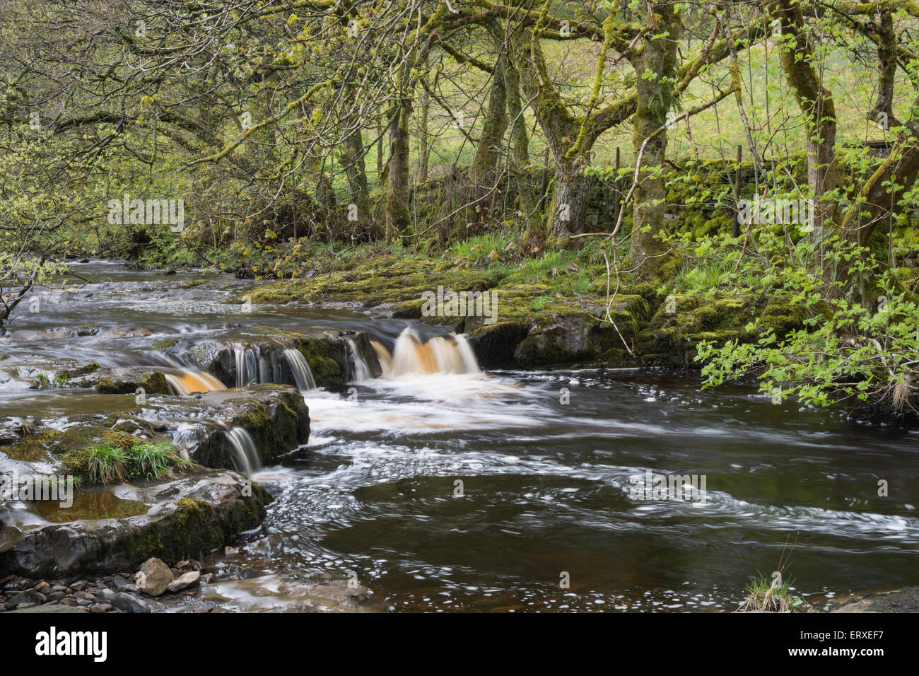 Fluss-Dent in Dentdale in Yorkshire Dales Stockfoto