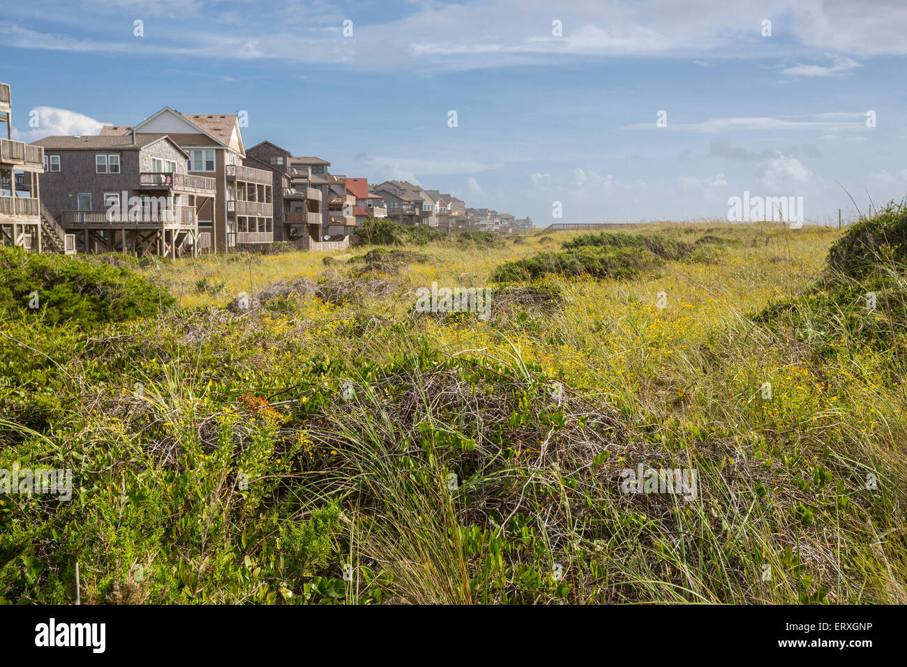 Outer Banks, North Carolina.  Vegetation, die Lücke zwischen Ferienwohnungen (FeWos) und Strand stabilisieren Sand. Stockfoto