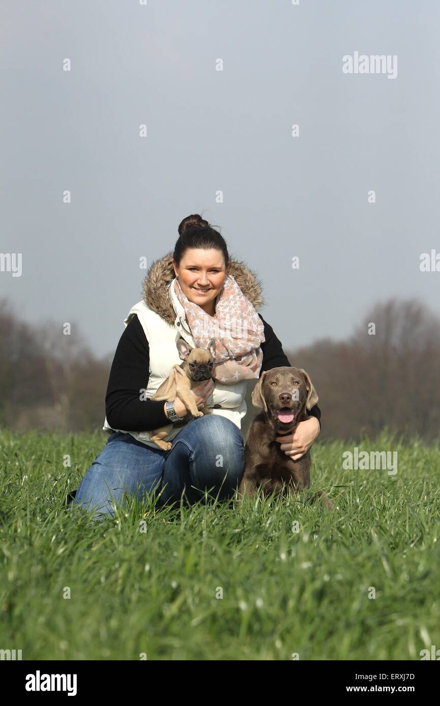 Frau und 2 Hunde Stockfoto