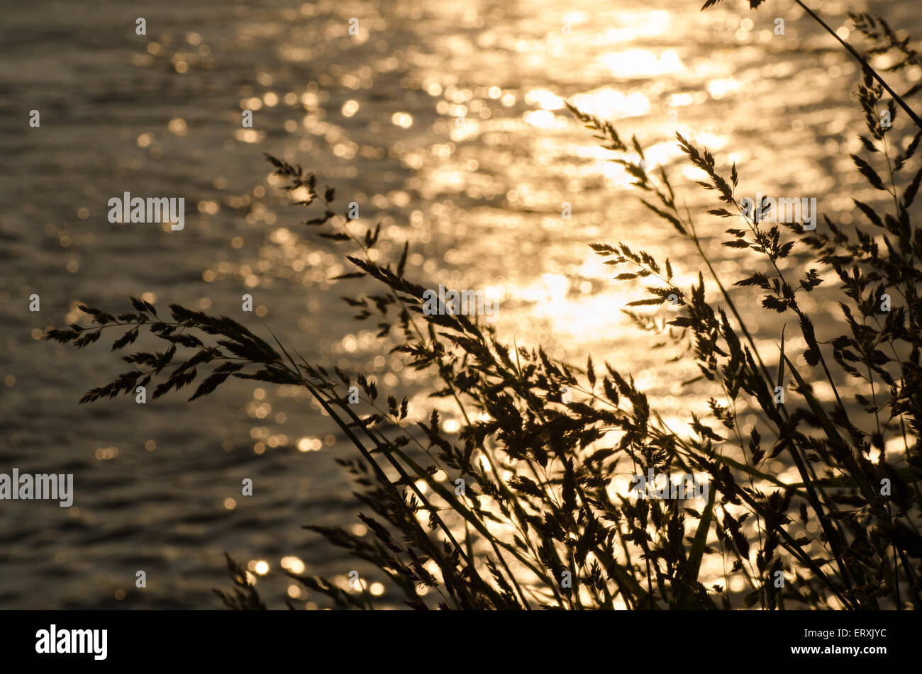 Wellen im Fluss Wasser Hintergrund Stockfoto