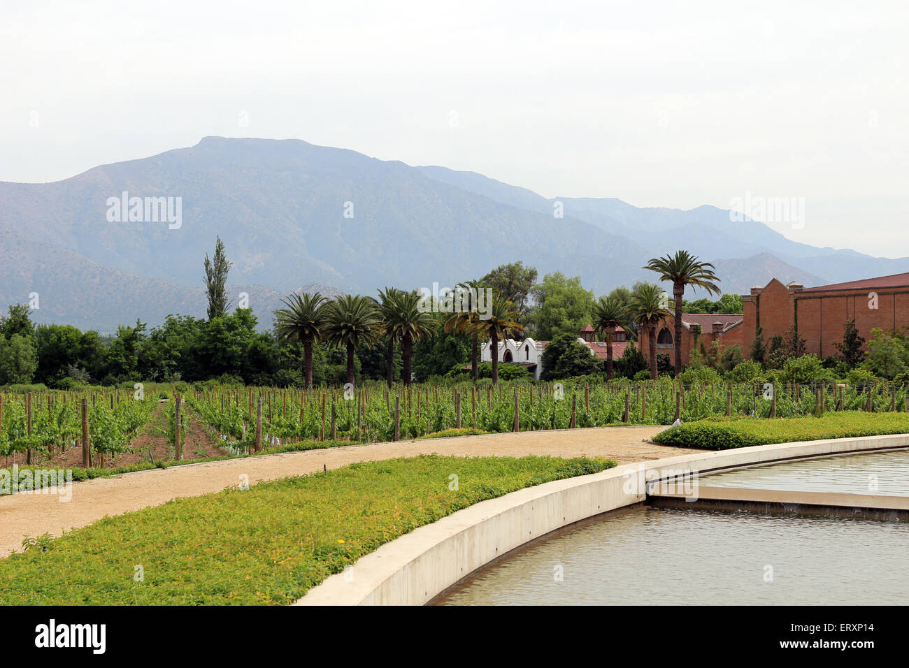 Errazuriz Weingut Stockfoto