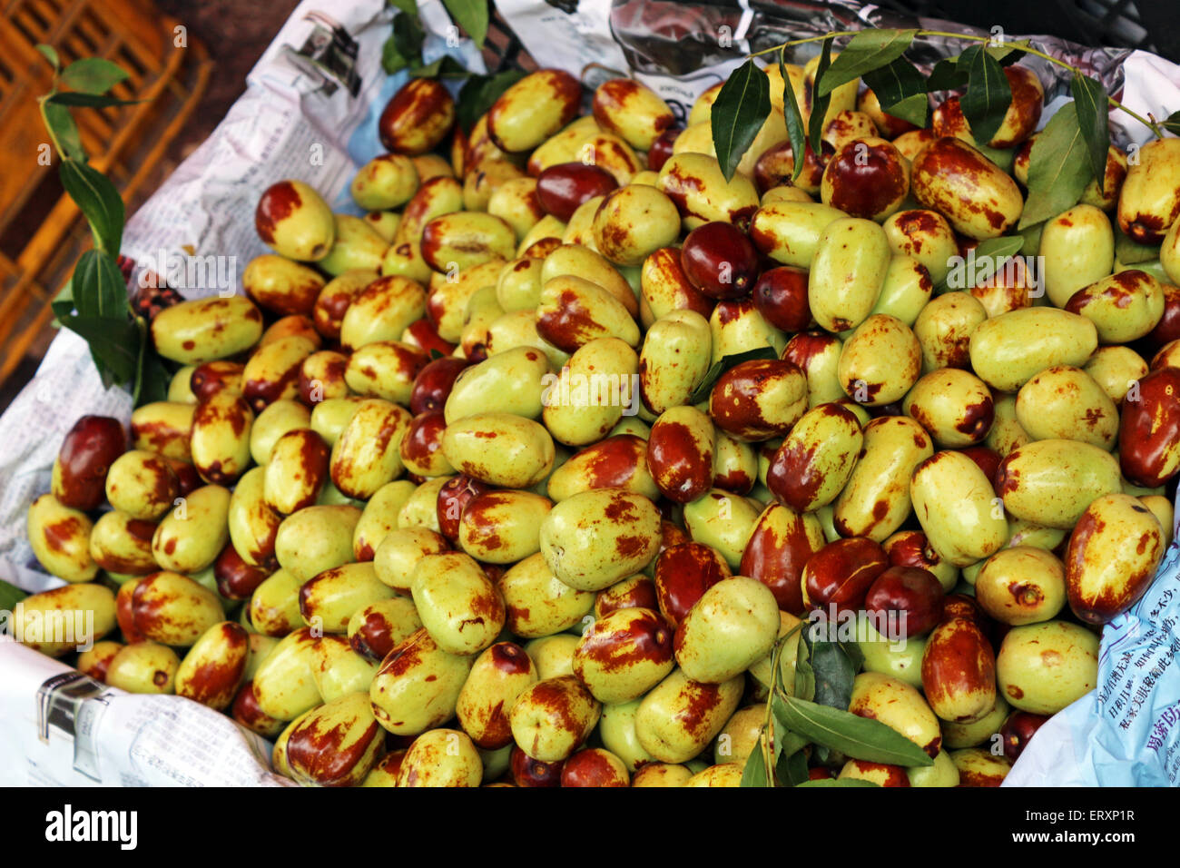 frische Jujube-Termine Stockfoto
