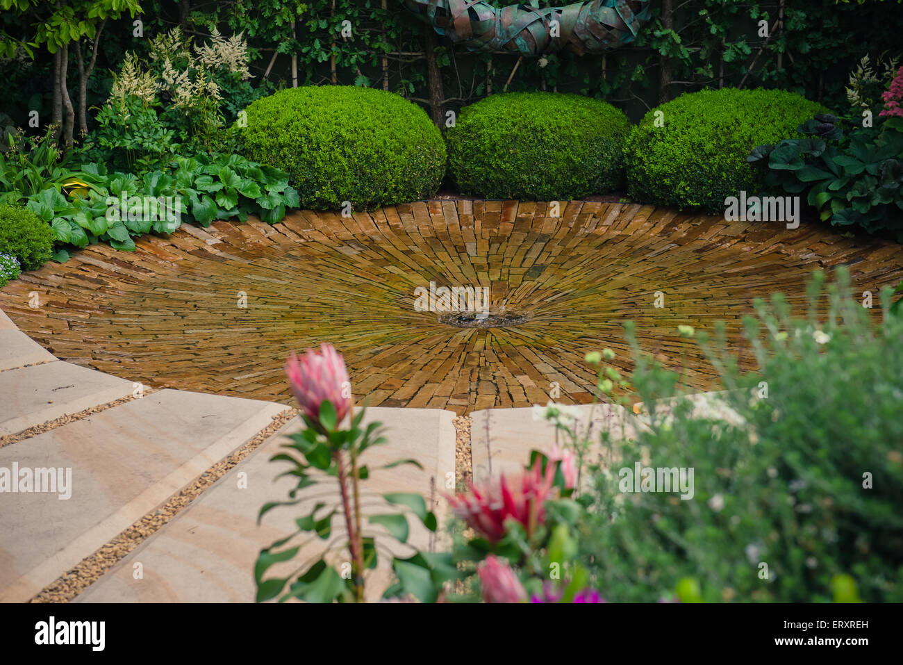 Rhs chelsea flower show royal hospital -Fotos und -Bildmaterial in ...