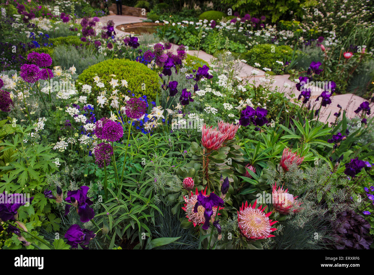 2015 RHS Chelsea Flower Show, die Zeit dazwischen von Husqvarna und Gardena, entworfen von Charlie Albone Stockfoto