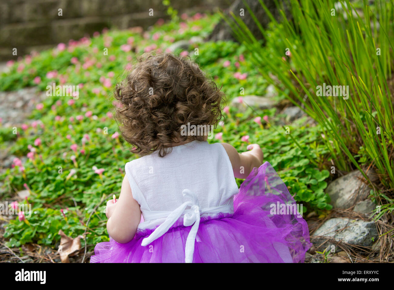 Rückseite des kleinen Mädchens tragen lila Tutu im Garten Stockfoto
