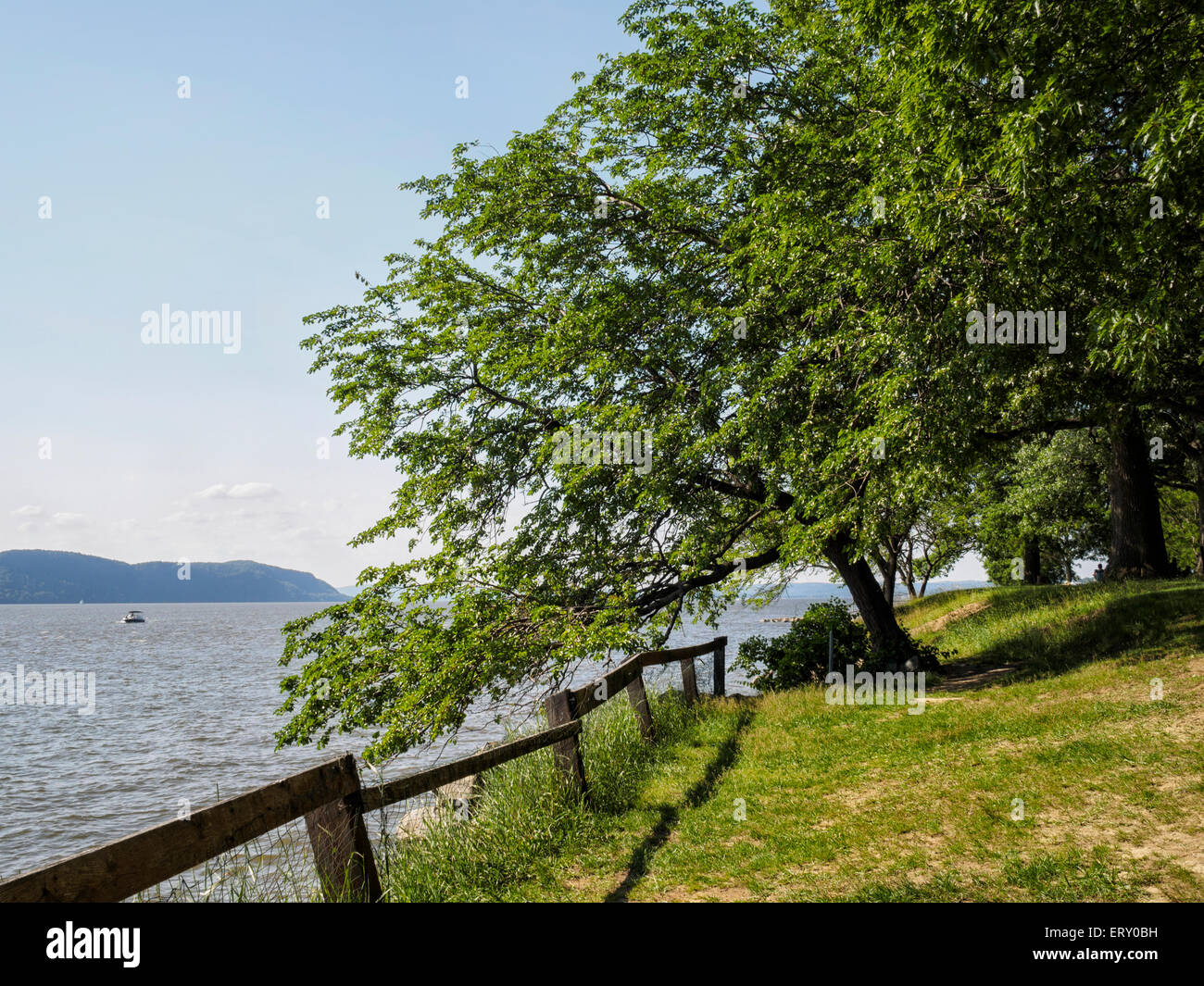 Maulbeerbaum Morus Alba mit Blick auf Hudson River spät Frühling Anfang Juni Sommer-Boot blauen Himmel Kopie Raum Hudson Highlands Stockfoto