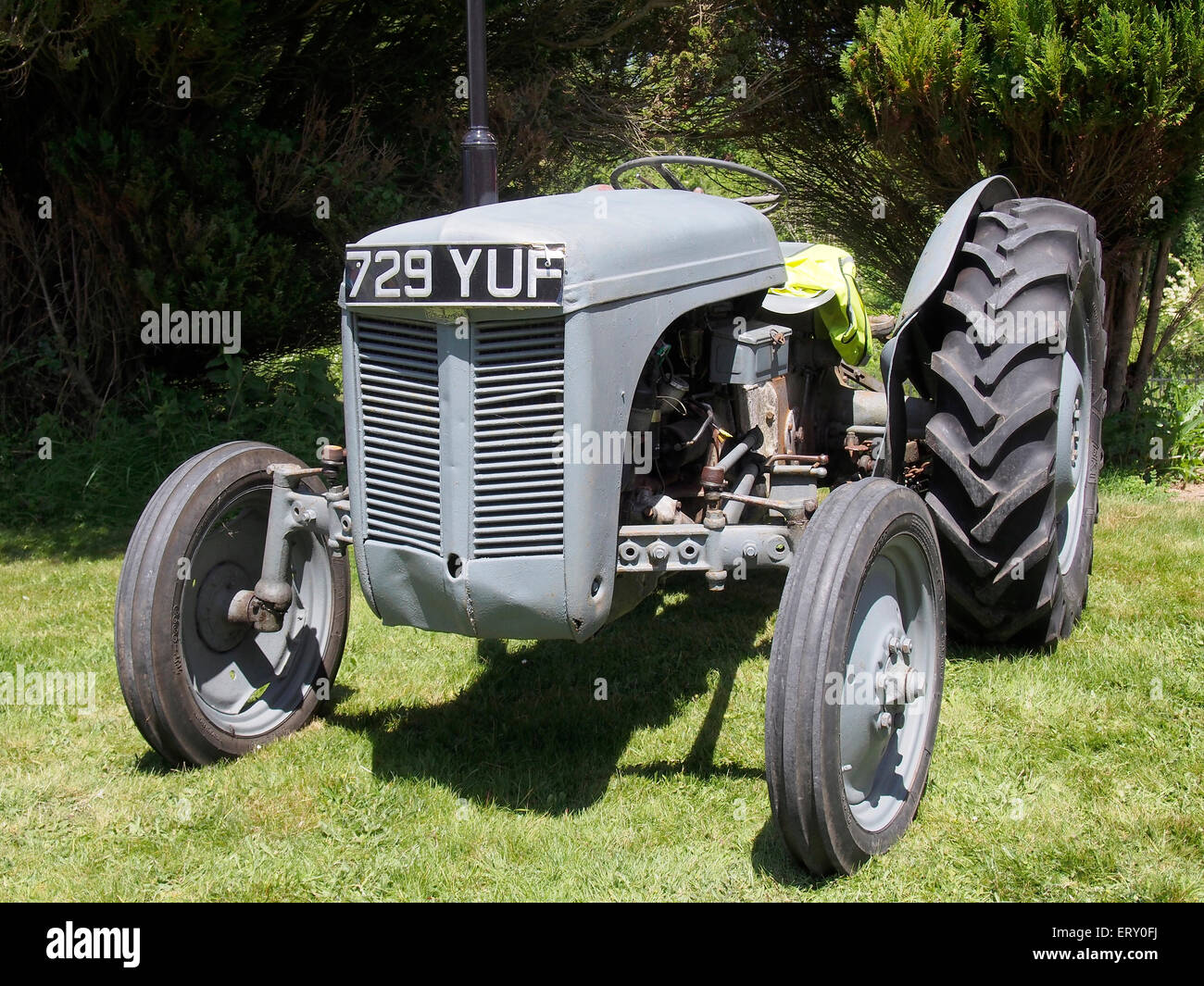 Klassische Traktor - die Ferguson TE20, ein Entwurf von Harry Ferguson, die Landwirtschaft in den 1950er-Jahren revolutionierte. Stockfoto
