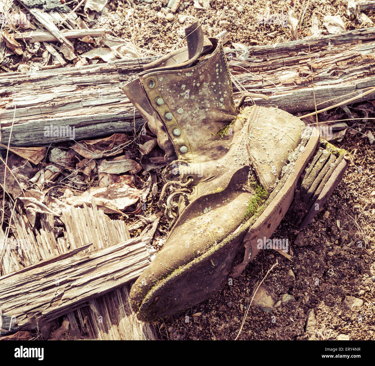 Alten Lederschuh gefunden in der Nähe eines verlassenen Gebäudes in Yukon Kanada mit Vintage Färbung verarbeitet. Stockfoto