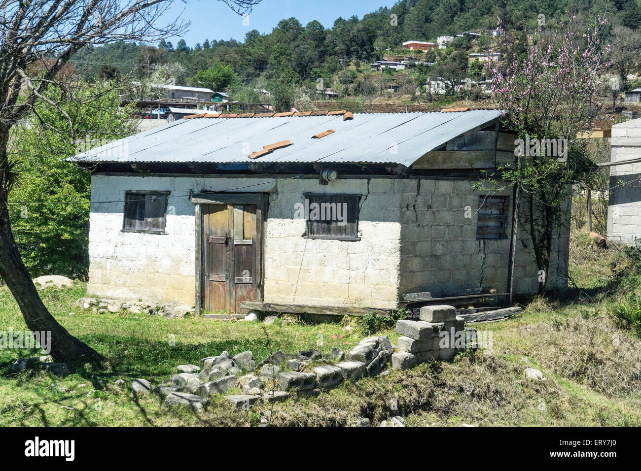 malerische alte weiß getünchten Block Schuppen mit Holzplatte Tür Blechdach & blühenden Baum unterhalb Gruppe von Hang beherbergt Chiapas Stockfoto