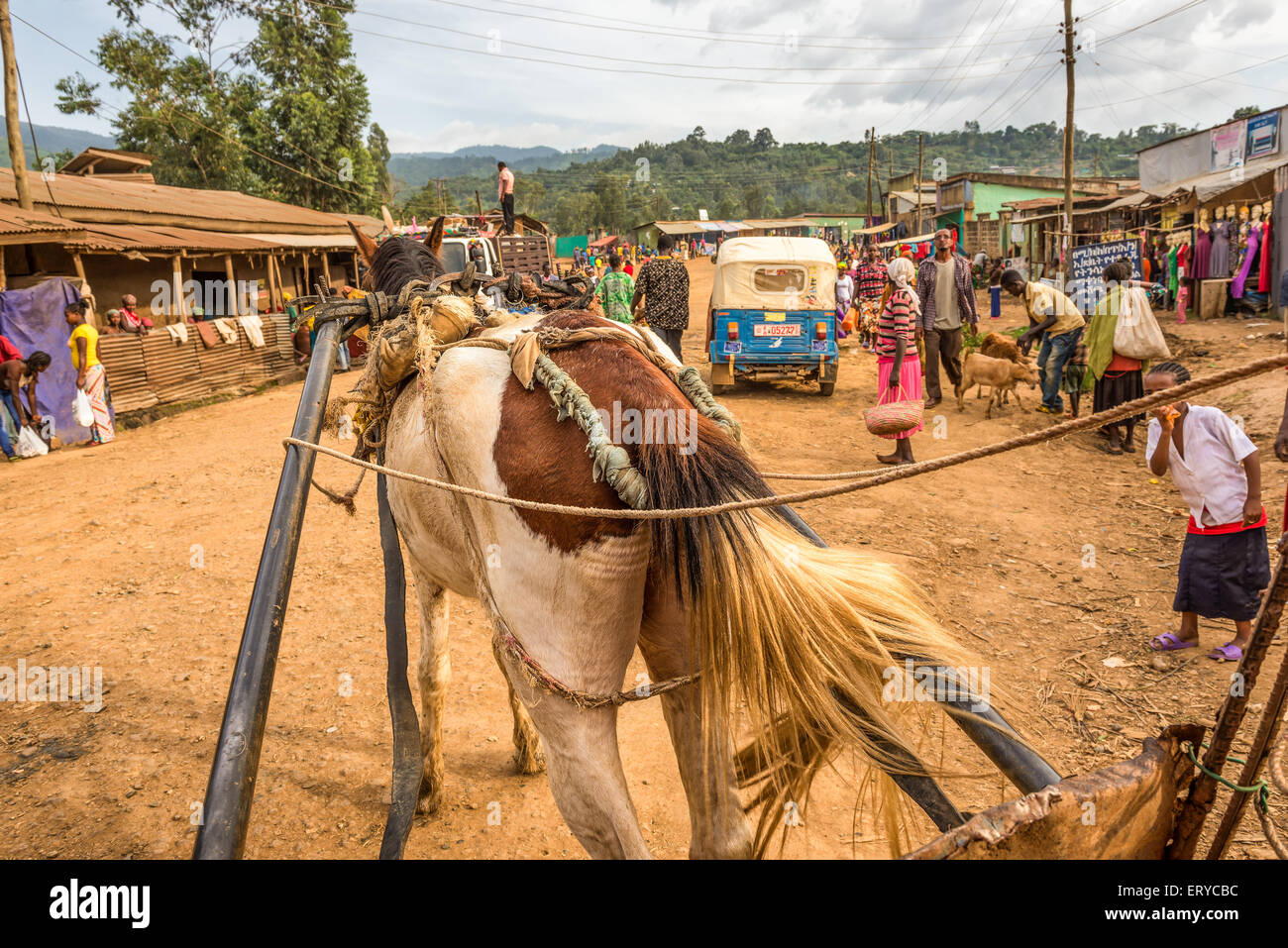 Pferde ziehen einen Wagen auf einer belebten Straße in Mizan Teferi, auch genannt Mizan Tefere. Stockfoto