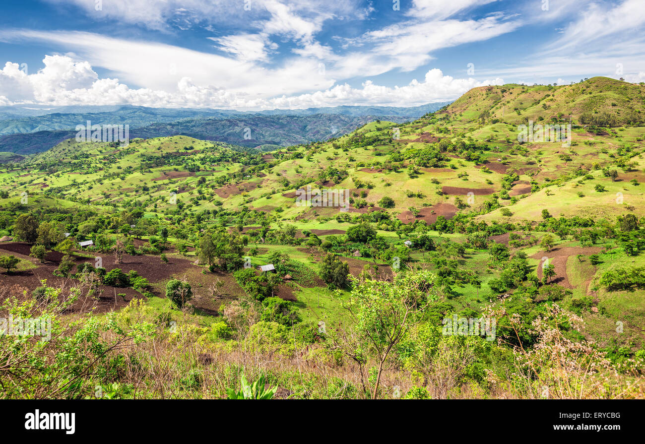 Blick auf das Bonga Forest Reserve im Süden Äthiopiens Stockfoto