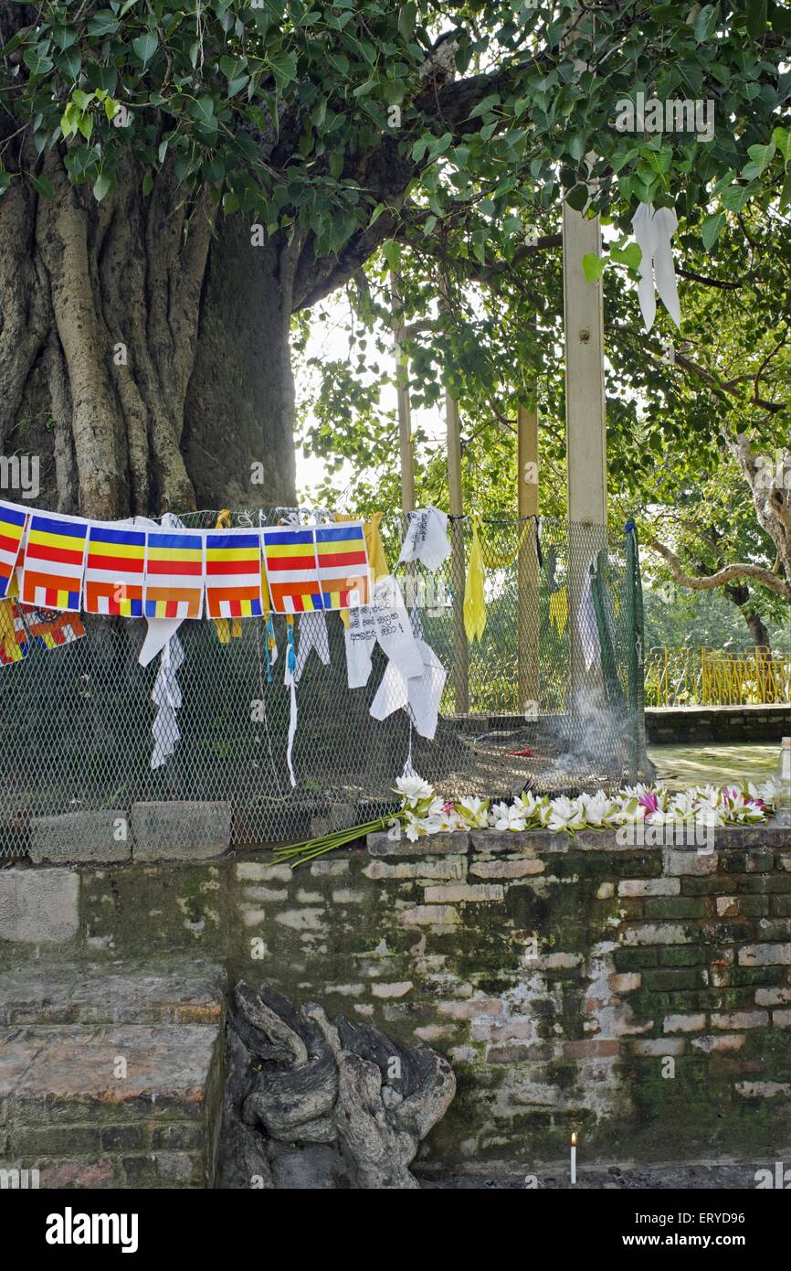 Buddhistische Gebetsfahnen, birmanischer buddhistischer Tempel; Shravasti, uttar pradesh, indien, asien Stockfoto
