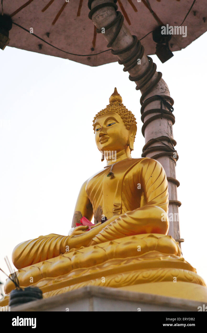 Goldene Statue von Lord Buddha; Kapilawastu; UNESCO-Welterbe Lord ...