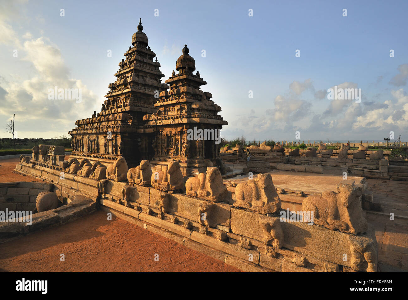 Ufertempel, Mamallapuram, Mahabalipuram, Chengalpattu, Chennai, Tamil Nadu, Indien Stockfoto