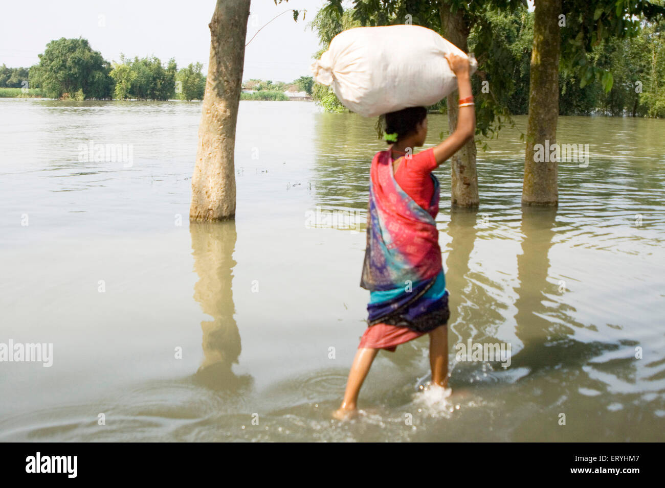 Kosi-Hochwasser im Jahr 2008, die meistens litt unter Armutsgrenze Personen im Purniya Bezirk; Bihar; Indien Stockfoto