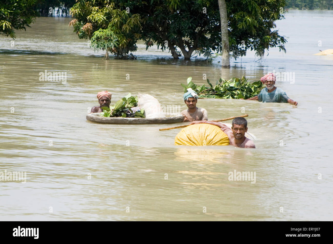 Kosi-Hochwasser im Jahr 2008, die meistens litt unter Armutsgrenze Personen im Purniya Bezirk; Bihar; Indien nicht Herr Stockfoto