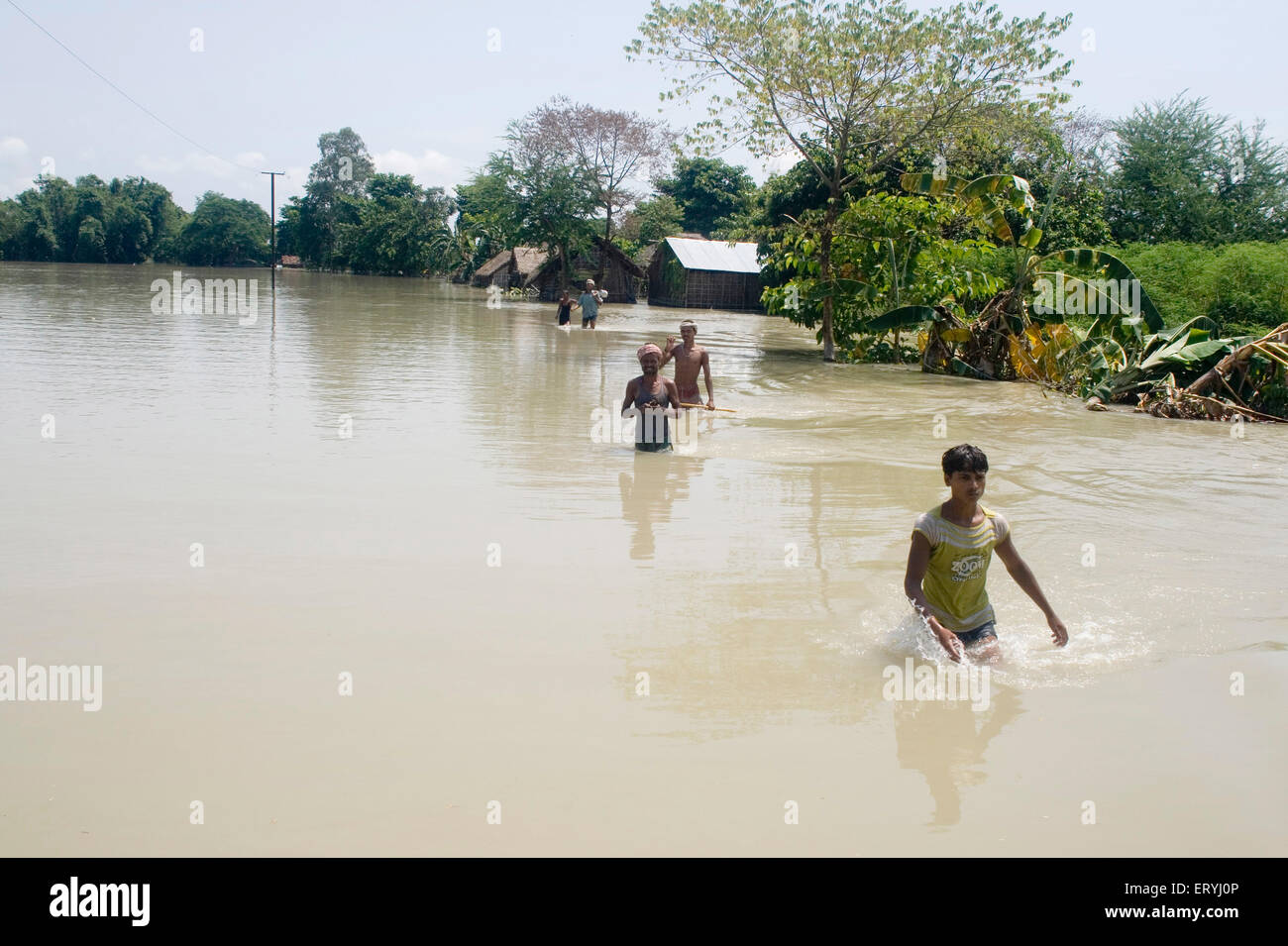 Kosi-Hochwasser im Jahr 2008, die meistens litt unter Armutsgrenze Personen im Purniya Bezirk; Bihar; Indien Stockfoto