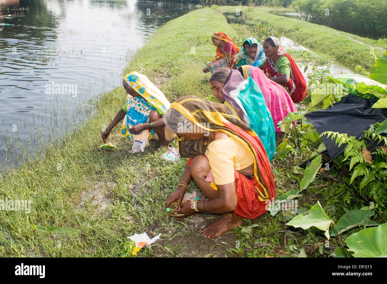 Kosi-Hochwasser im Jahr 2008, die meistens litt unter Armutsgrenze Personen im Purniya Bezirk; Bihar; Indien Stockfoto
