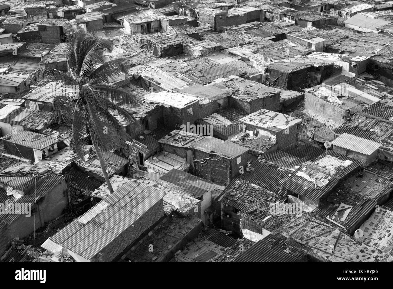 Dächer von Prem Nagar Slum; Goregaon; Bombay Mumbai; Maharashtra; Indien Stockfoto