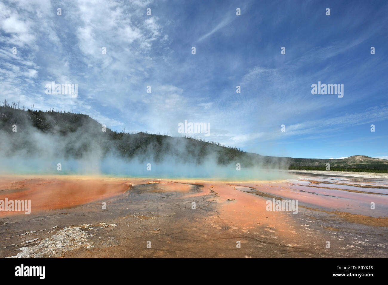 Große prismatische heiße Quelle, Yellowstone-Nationalpark; Wyoming; USA, Vereinigte Staaten von Amerika Stockfoto