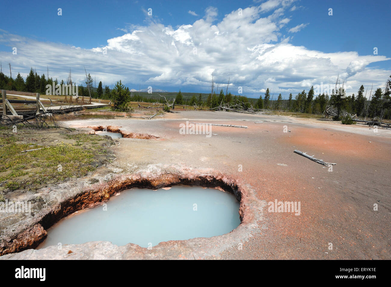 Heißer Frühling; Yellowstone Nationalpark; USA, Vereinigte Staaten von Amerika Stockfoto