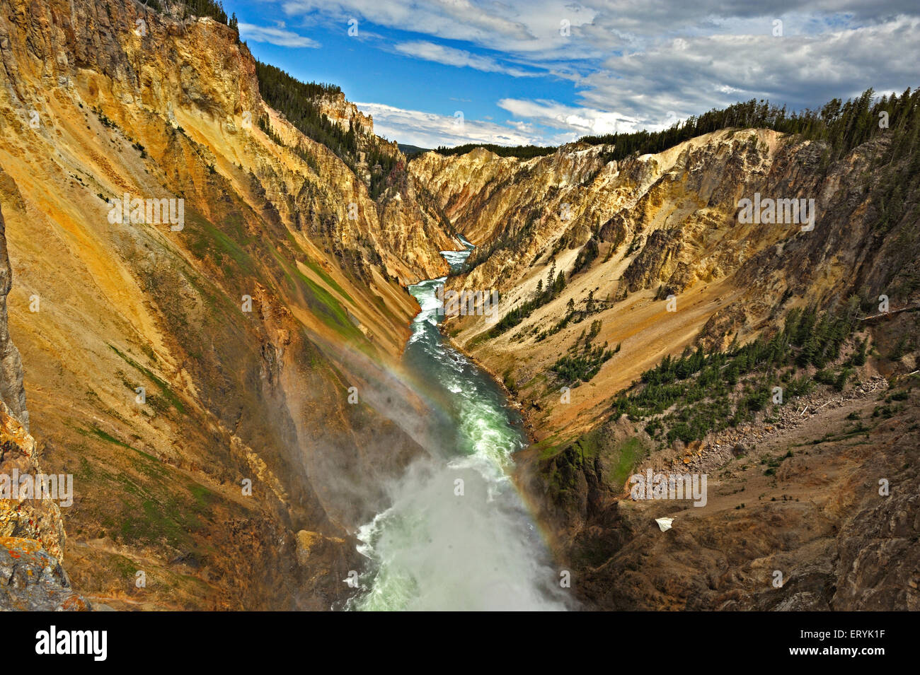 Yellowstone River Canyon, Yellowstone Nationalpark; USA, Vereinigte Staaten von Amerika Stockfoto