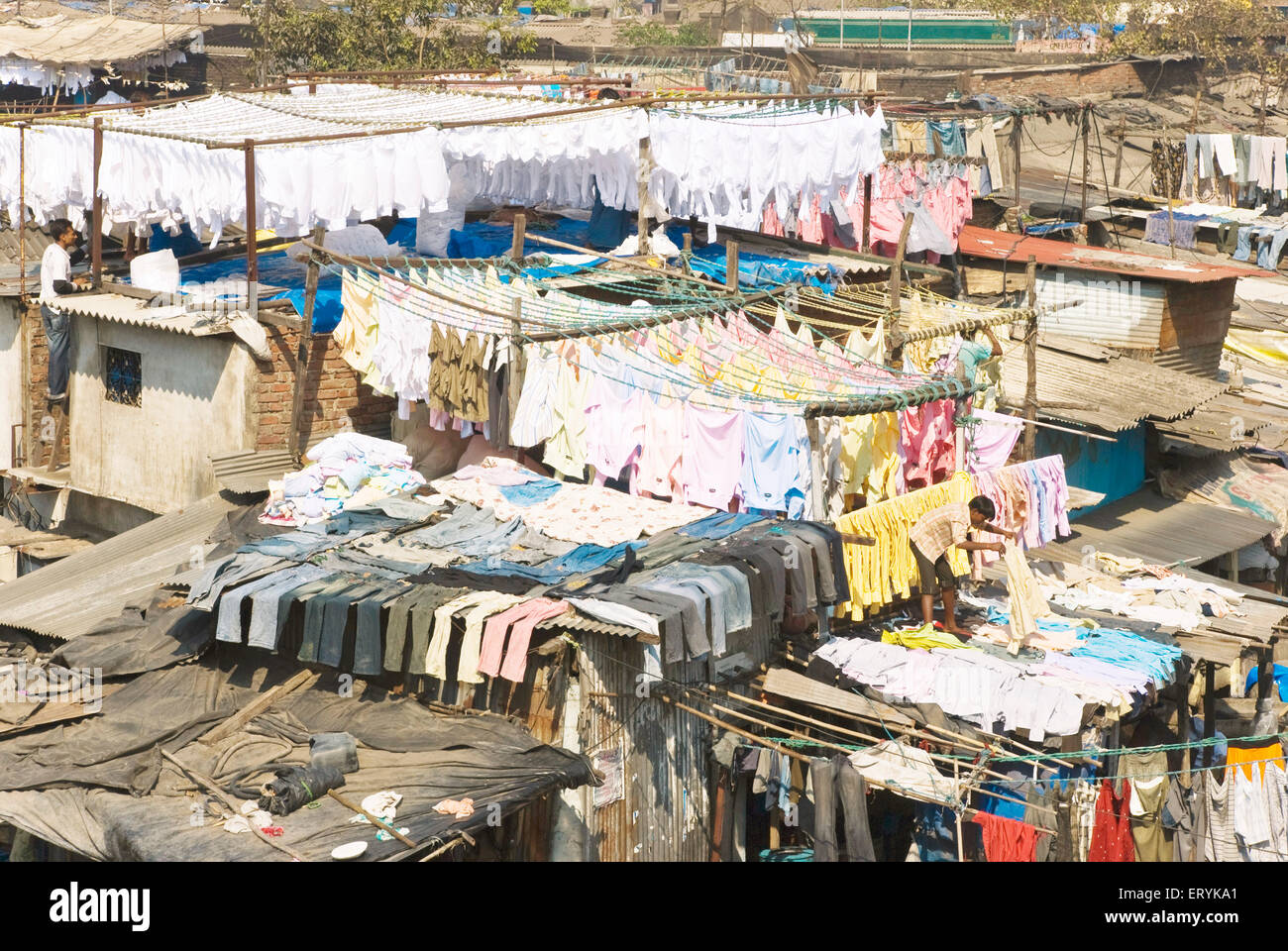 Dhobi Ghat, Open-Air-Waschsalon, Mahalaxmi, Bombay, Mumbai, Maharashtra, Indien, asien Stockfoto