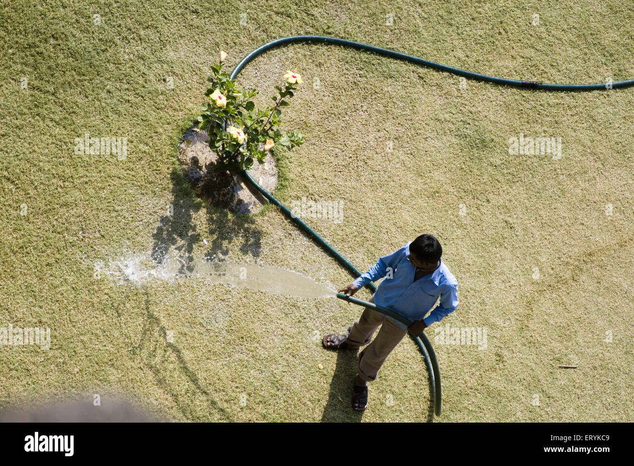 Gärtner gießt Wasser Indien Stockfoto