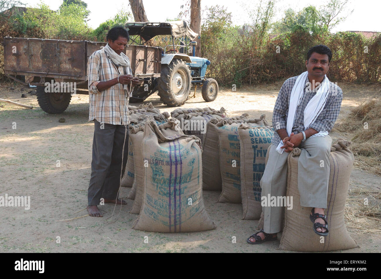 Jutesäcke mit Bauer Korn; Singhpur; Bezirk Narsinghpur; Madhya Pradesh; Indien nicht Herr Stockfoto