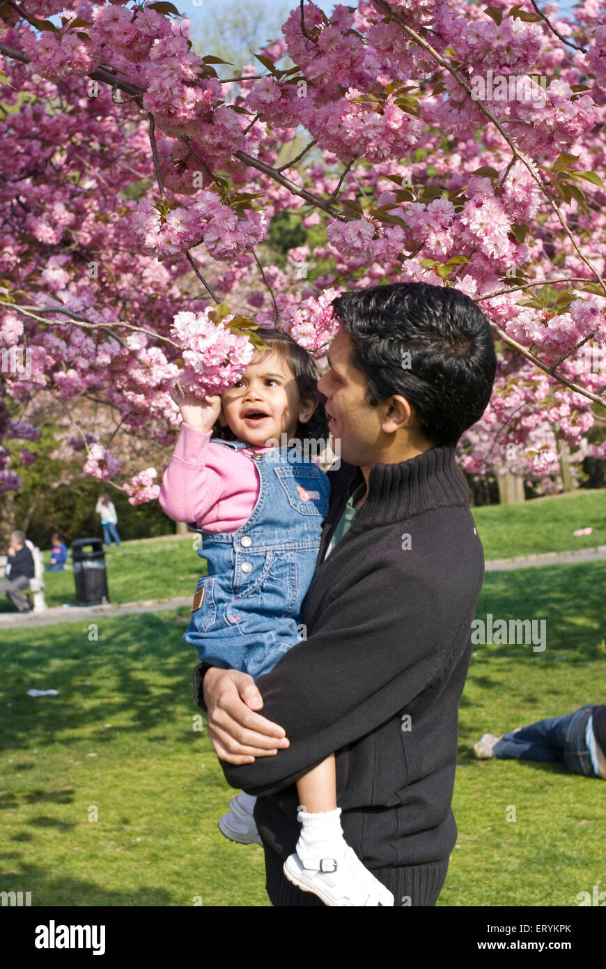 Vater und Tochter, die Blüte der Kirschbäume im Botanischen Garten zu genießen. Brooklyn; New York; USA Vereinigte Staaten von Amerika Stockfoto